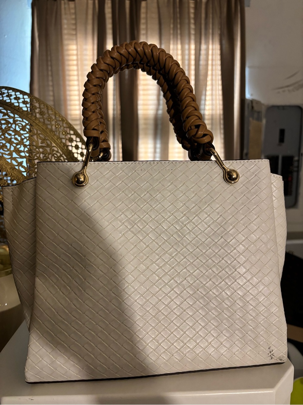 The ALDO Gloadithh Tote Bag